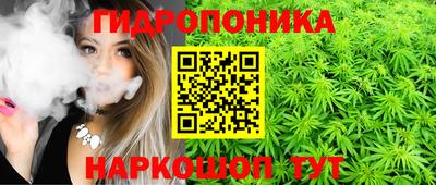 шишки Нягань